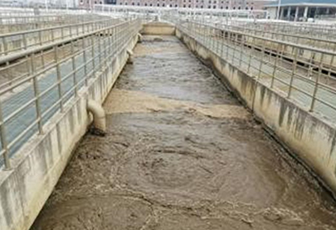 蚌埠市（shì）某汙水處理廠氧精準控製...